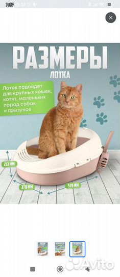 Лоток для кошек