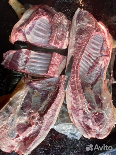 Мясо свинина домашняя