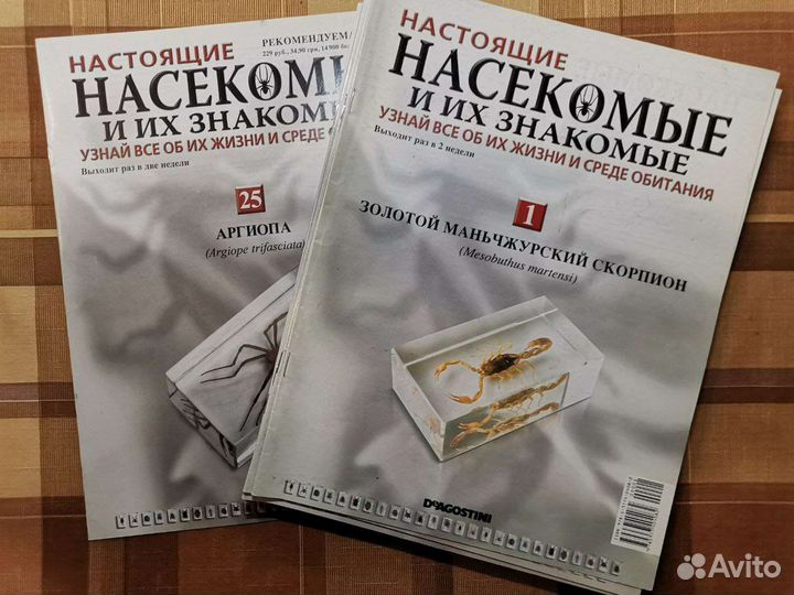 Насекомые и их знакомые