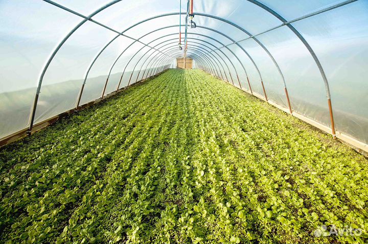 Земля плодородная