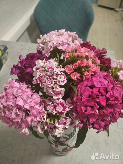 Многолетние цветы