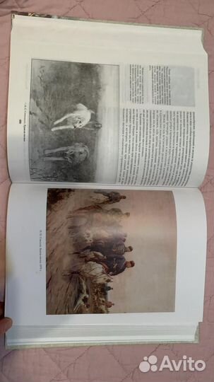 Книга Охотничьи собаки