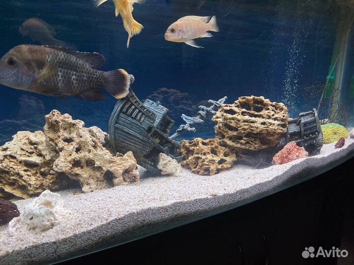 Аквариум комплекс 300л