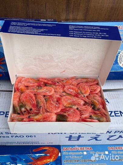 Креветка северная