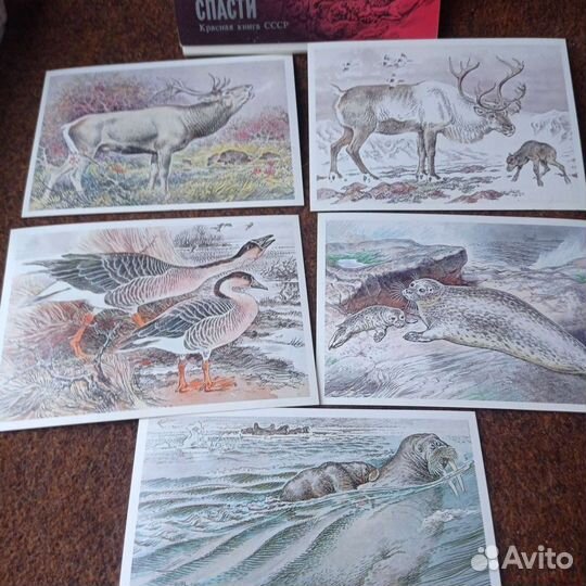 Наборы открыток СССР