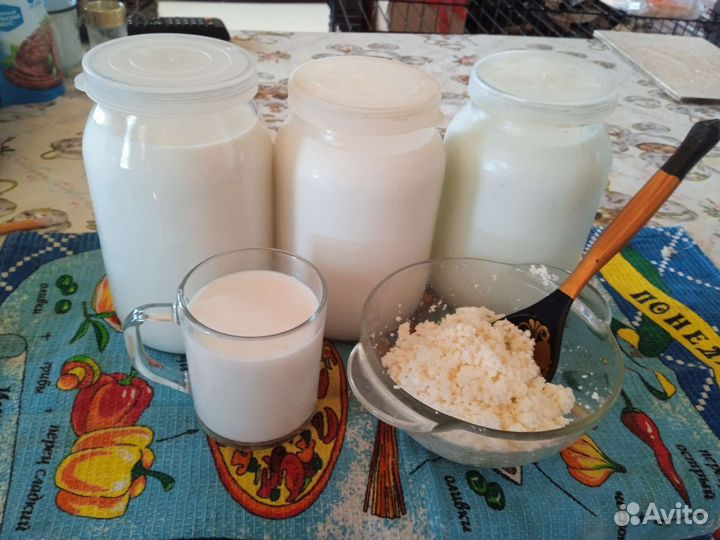 Продам козье молоко