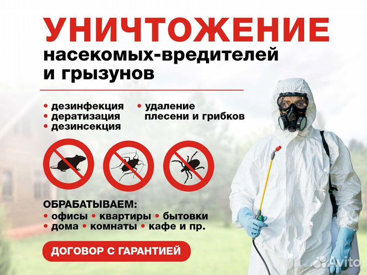 Дезинсекция от тараканов, клопов и др. вредителей