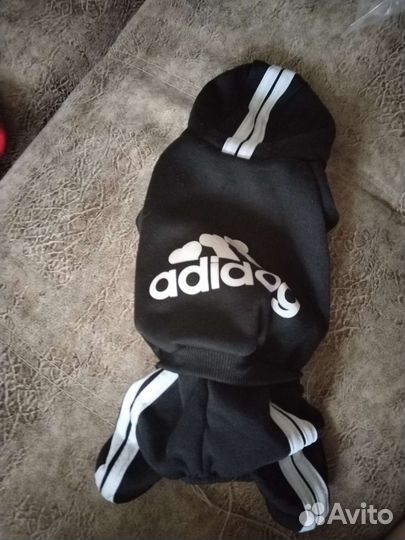 Вещи для маленьких собак