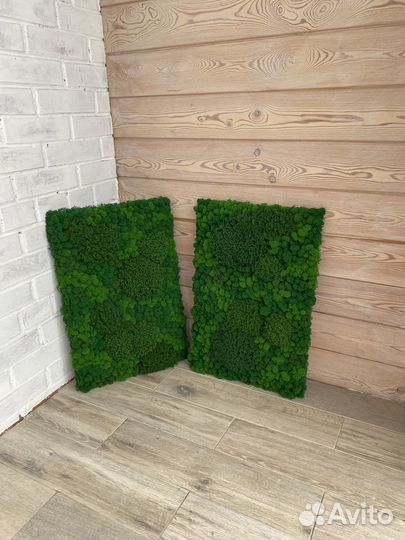 Панели из стабилизированного мха