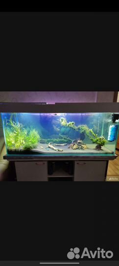 Аквариум