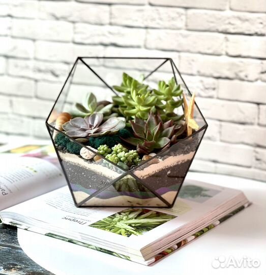 Флорариум «Икосаэдр» с черным покрытием