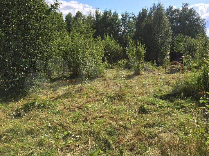 Участок 7 сот. (СНТ, ДНП)