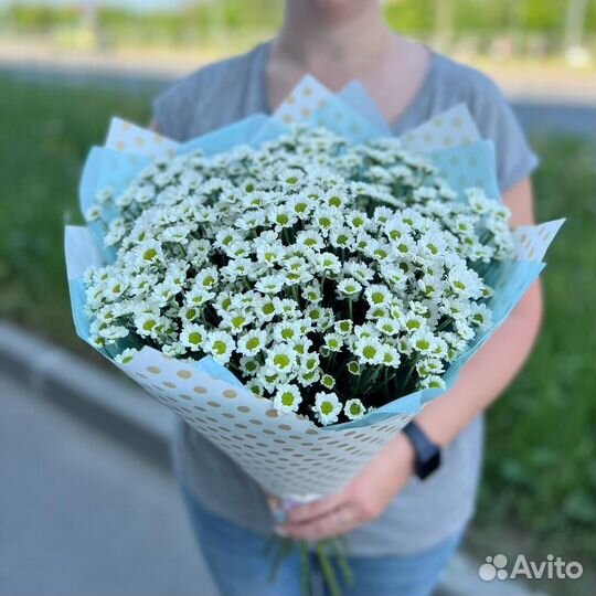 Букет из 11 хризантем Сантини