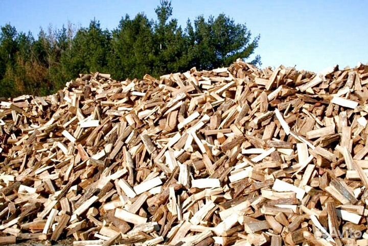 Дрова Осиновые