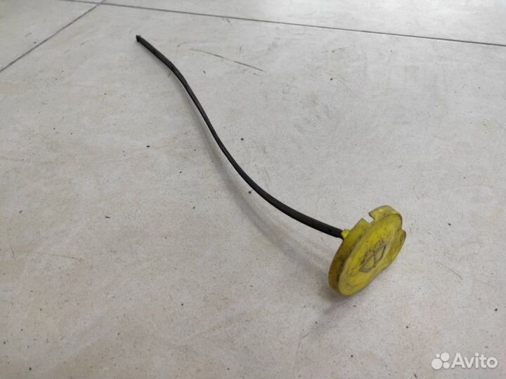 Крышка бачка омывателя Nissan Qashqai Vi HR16DE