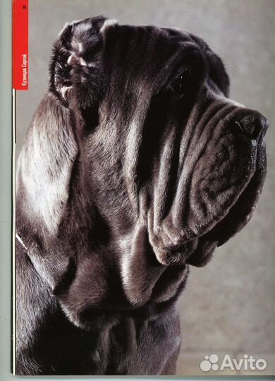 Фотоальбом Мастер 98