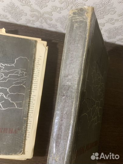 Поход Челюскина. Том 1. 1934 год