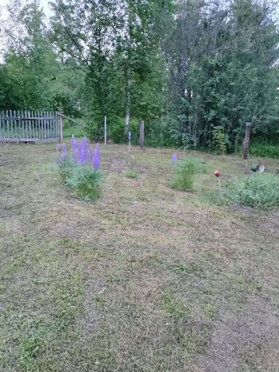 Дача 24 м² на участке 6 сот.