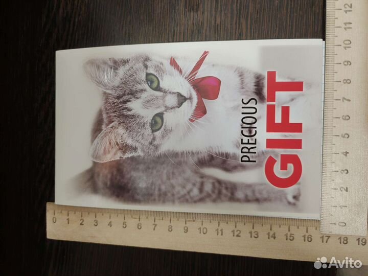 Блокнот с котиком