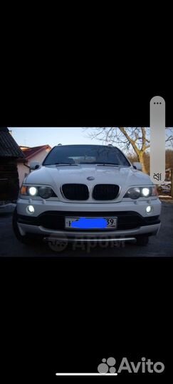 Кенгурятник bmw x5 e53