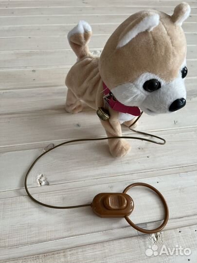 Интерактивная собака на поводке