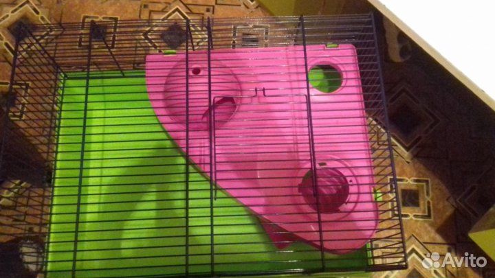 Для грызунов и птиц размер разный центр