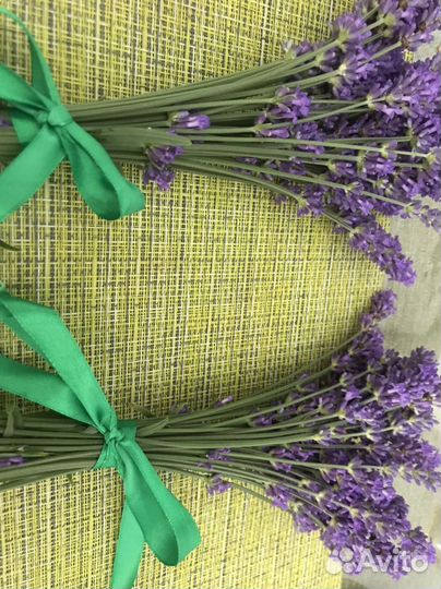 Цветы лаванда