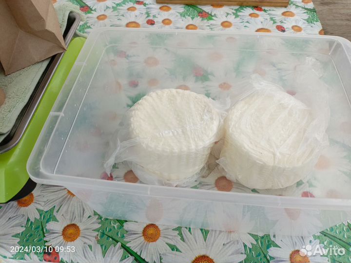 Молоко, сыр, масло, сливки,творог