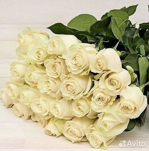 Метровые розы с доставкой