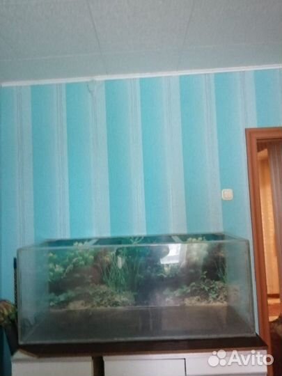 Аквариум