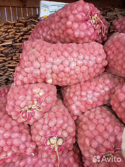 Продам картошку