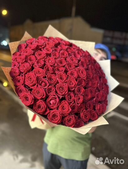 101 Роза цветы 51 101 Роза