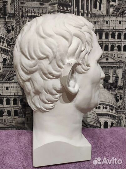 Гипсовая голова Августа