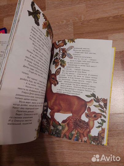 Новая книжка Сказки и рассказы о животных Бианки