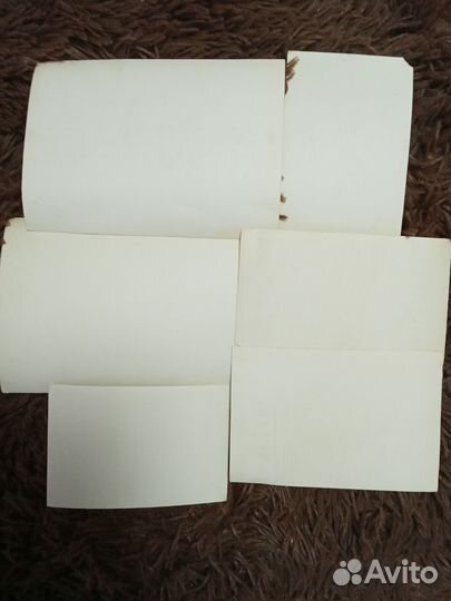 Фотографии СССР Охота