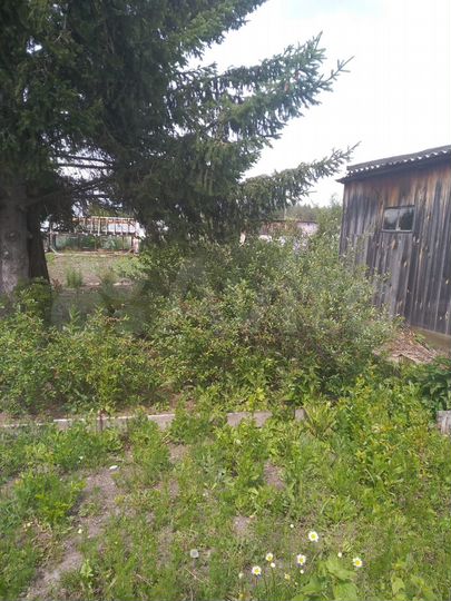 Участок 7 сот. (СНТ, ДНП)