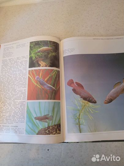 Книги по аквариумистике