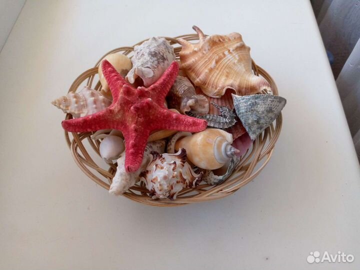 Ракушки декоративные в корзине
