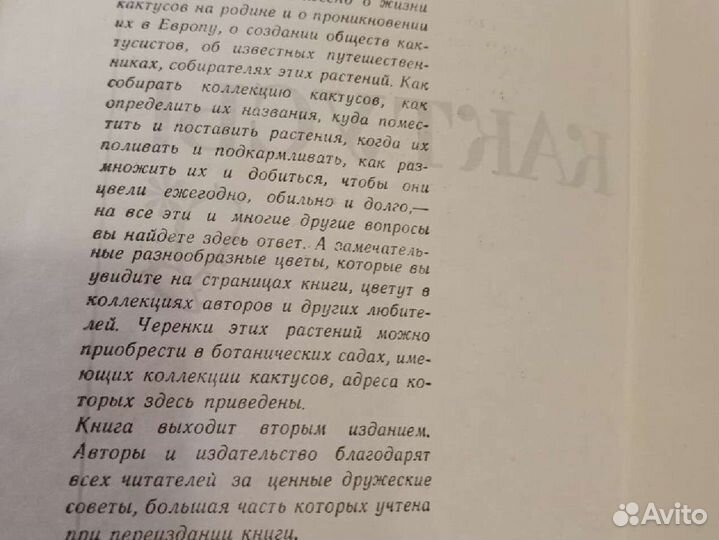 Книга Кактусы