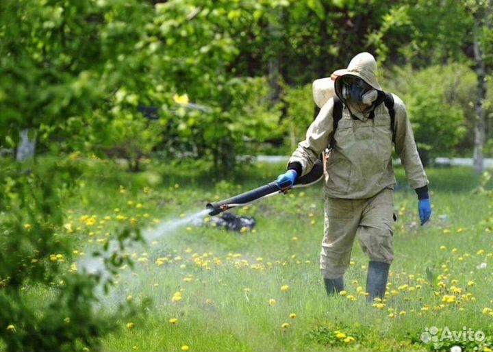 Обработка от клещей комаров ос шершней и тд