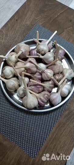 Чеснок