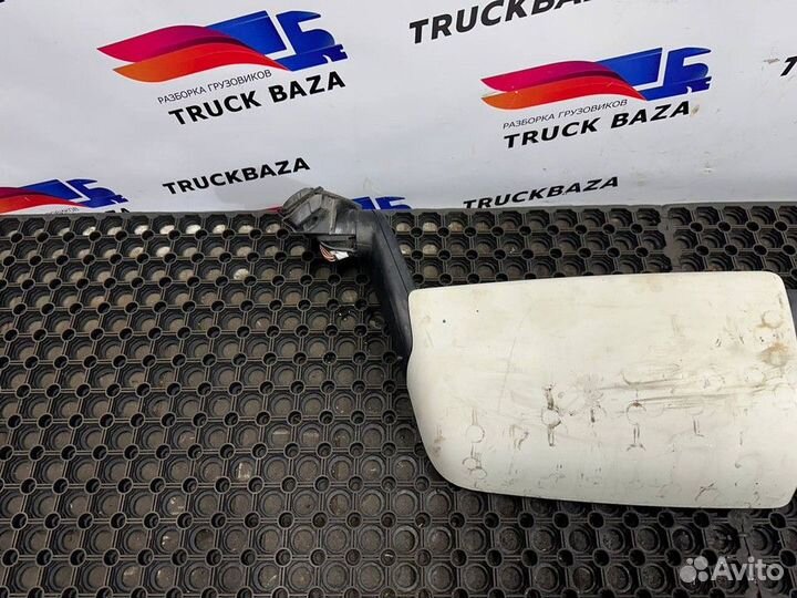 2645651 Зеркало заднего вида боковое левое