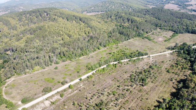 Участок 25 га (ИЖС)