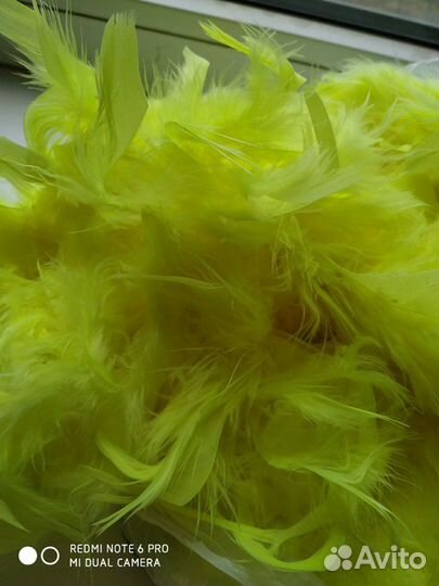 Боа лимонное