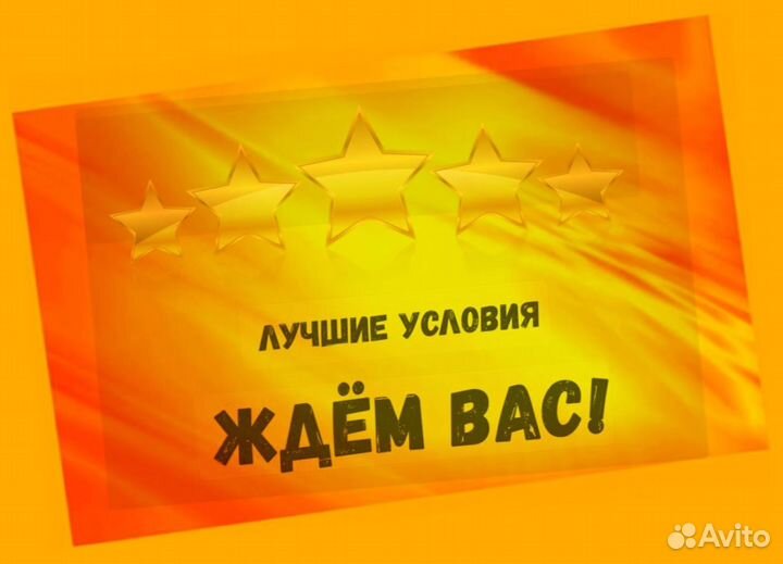 Упаковщик на склад Еженедельные выплаты Без опыта