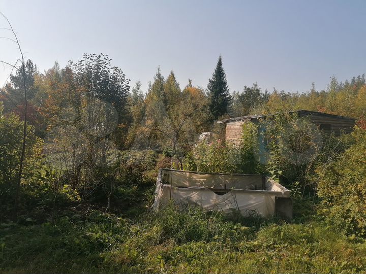 Участок 8 сот. (СНТ, ДНП)