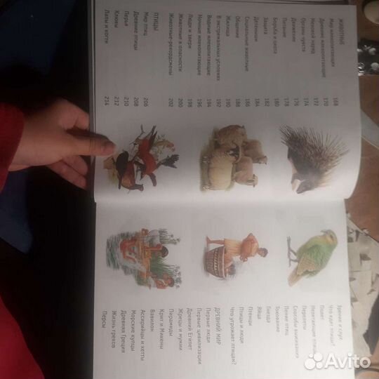 Энциклопедия большая книга знаний