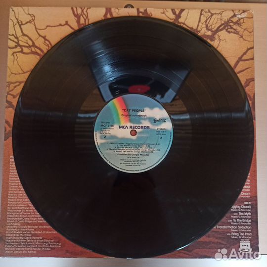 Виниловая пластинка