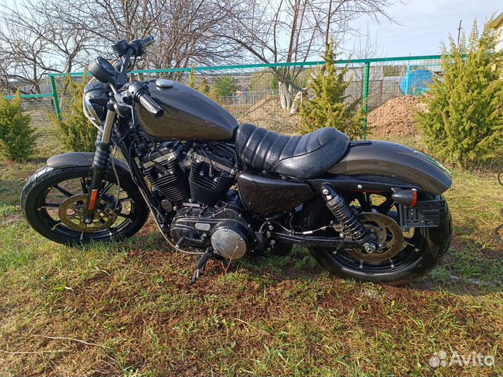 Harley-Davidson XL883n iron 2020