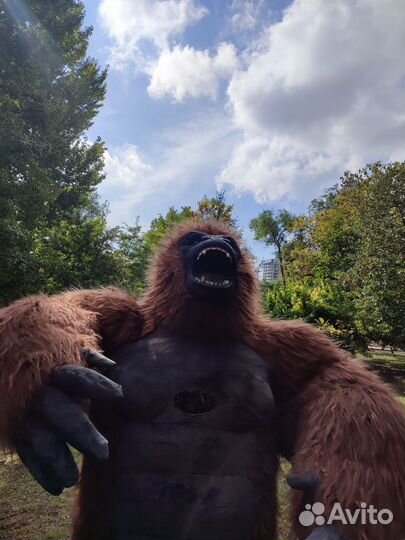 Бурый И белый мишка,кот,панда,горилла И др